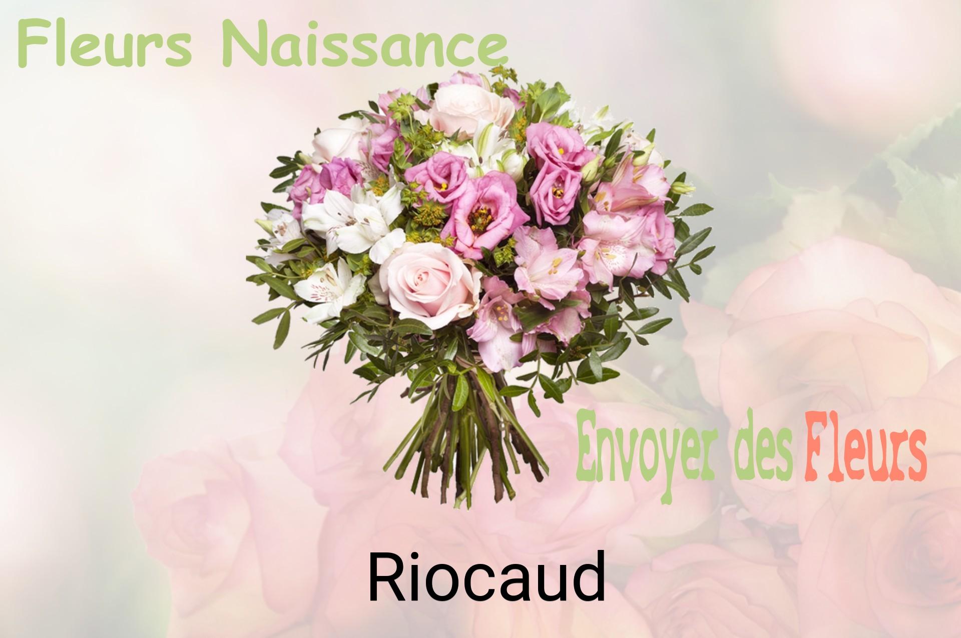 Bouquet de fleurs de naissance livré à Riocaud